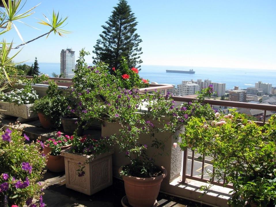 123 Ocean View Drive Apartment Cape Town Eksteriør bilde